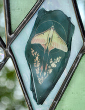 Load image into Gallery viewer, Chinese Moon Moth - Mini Mirror