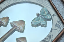 Load image into Gallery viewer, Mother, daughter, and holy fungi