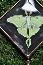 Load image into Gallery viewer, Large Luna Ornament - Black