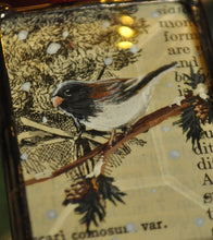 Load image into Gallery viewer, Junco Mini Ornament