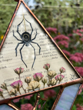 Load image into Gallery viewer, Sol Spider
