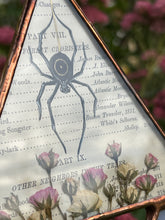 Load image into Gallery viewer, Sol Spider