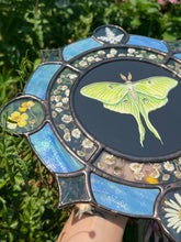Load image into Gallery viewer, Left side angle showing blue in lower light. Gouache on paper, and flora set between glass with iridescent glass border in cool tones and bevels. Medallion shape with three rungs - center is painted green Luna moth on black background (circle shape), second ring is segmented circle of pressed gypsophila in clear glass, third and outer ring consists of alternating blue iridescent glass, circles with pressed flowers, and diamond bevels.