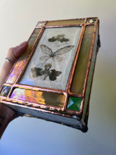 Load image into Gallery viewer, Cicada + Anemone Treasure Box
