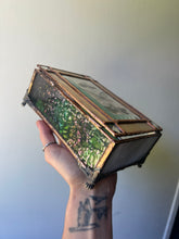 Load image into Gallery viewer, Cicada + Anemone Treasure Box