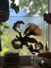 Load image into Gallery viewer, Cicada + Poppy