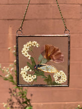 Load image into Gallery viewer, Cicada + Poppy