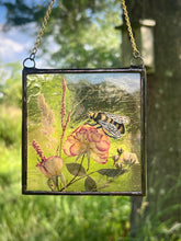 Load image into Gallery viewer, Bee + Rose