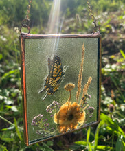 Load image into Gallery viewer, Swallowtail + Anemone