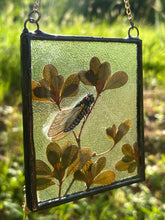 Load image into Gallery viewer, Cicada on Branch