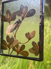 Load image into Gallery viewer, Cicada on Branch