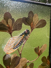 Load image into Gallery viewer, Cicada on Branch