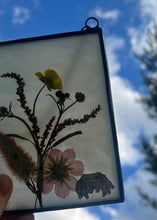 Load image into Gallery viewer, Jumping Spider + Cosmos + Wildflowers