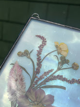 Load image into Gallery viewer, Jumping Spider + Cosmos + Wildflowers