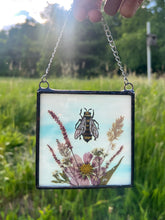 Load image into Gallery viewer, Bee + Cosmos