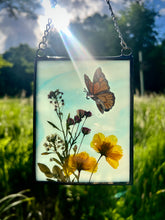 Load image into Gallery viewer, Monarch + Cosmos