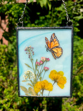 Load image into Gallery viewer, Monarch + Cosmos