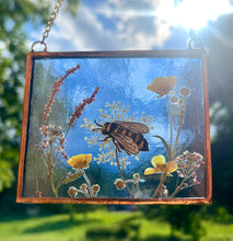 Load image into Gallery viewer, Bee + Wild Carrot