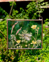 Load image into Gallery viewer, Bee + Wild Carrot