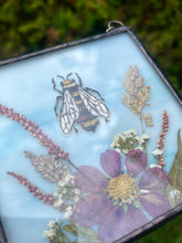 Load image into Gallery viewer, Bee + Cosmos