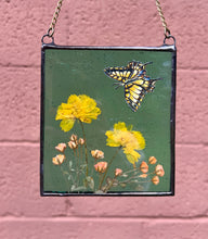 Load image into Gallery viewer, Swallowtail + Cosmos
