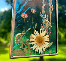 Load image into Gallery viewer, Monarch + Daisy