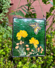 Load image into Gallery viewer, Swallowtail + Cosmos