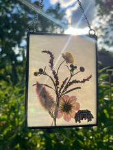 Load image into Gallery viewer, Jumping Spider + Cosmos + Wildflowers