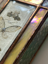 Load image into Gallery viewer, Cicada + Anemone Treasure Box