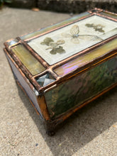 Load image into Gallery viewer, Cicada + Anemone Treasure Box