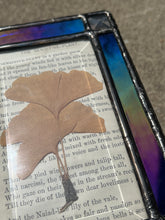 Load image into Gallery viewer, Ginkgo Treasure Box