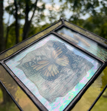 Load image into Gallery viewer, Monarch + Wild Rye