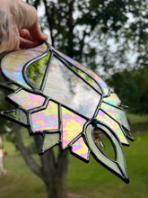 Load image into Gallery viewer, CURIOUS: the well known hunger