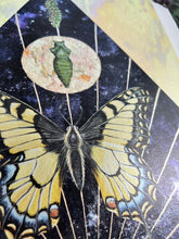 Load image into Gallery viewer, Close up - Swallowtail Life cycle depicts full grown swallowtail, larvae, and cocoon in vertical row. Blue/purple and metallic hand dyed background in geometrical shape (pointed top, angled sides, flat bottom). Artwork is on yellow iridescent glass to mimic original piece. 11x14" reproduction giclée print of Swallowtail Life Cycle with a 1.25" deckled edge border
