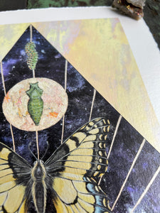 Close up - Swallowtail Life cycle depicts full grown swallowtail, larvae, and cocoon in vertical row. Blue/purple and metallic hand dyed background in geometrical shape (pointed top, angled sides, flat bottom). Artwork is on yellow iridescent glass to mimic original piece. 8x10" reproduction giclée print of Swallowtail Life Cycle with a 1.25" deckled edge border