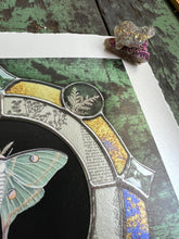 Load image into Gallery viewer, Top right angle showing silver lace fern and deckled edge border. Luna moth medallion print. Luna moth is in central circle on black background with segmented border of vintage book pages. Third and outermost rung is gold mirror with bronze flecks, pressed wildflowers, and glass bevels in alternating border. 8x8" reproduction giclée print of Vintage Luna with a 1.25" deckled edge border
