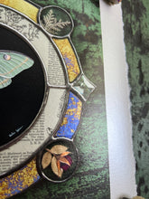 Load image into Gallery viewer, Right side view showing silver lace fern in top circle of inter border and rosebud in bottom right. Luna moth medallion print. Luna moth is in central circle on black background with segmented border of vintage book pages. Third and outermost rung is gold mirror with bronze flecks, pressed wildflowers, and glass bevels in alternating border. 8x8" reproduction giclée print of Vintage Luna with a 1.25" deckled edge border