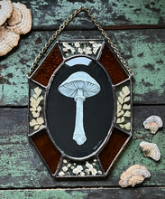 Load image into Gallery viewer, Alternate view with dark background - 2326 × 2936px Painted white porcelain fungus on black background in center with alternating amber glass and clear glass with floral inclusion border. Gouache on paper with pressed gypsophila and maidenhair fern set between glass, with amber glass.