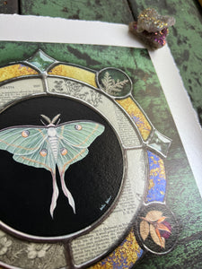 Top right angle showing silver lace fern - Luna moth medallion print. Luna moth is in central circle on black background with segmented border of vintage book pages. Third and outermost rung is gold mirror with bronze flecks, pressed wildflowers, and glass bevels in alternating border. 8x8" reproduction giclée print of Vintage Luna with a 1.25" deckled edge border