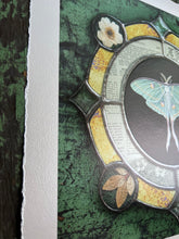 Load image into Gallery viewer, Left side of piece, shows Japanese anemone at top left and Wild leaves at bottom left. Deckled edge border shown. Luna moth medallion print. Luna moth is in central circle on black background with segmented border of vintage book pages. Third and outermost rung is gold mirror with bronze flecks, pressed wildflowers, and glass bevels in alternating border. 12x12" reproduction giclée print of Vintage Luna with a 1.25" deckled edge border