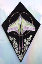 Load image into Gallery viewer, Full view - print on paper of Chinese moon moth and meadowsweet on black background, diamond shape. This sits in a white iridized glass background. There is a gold circle around the center of the moon moth. Meadowsweet flower painted below and surrounding moths lower wing tendrils.