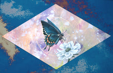 Load image into Gallery viewer, Spicebush swallowtail on scabious with pink/purple/yellow hand dyed diamond backdrop set on blue mirrored glass that reflects the original glass on artwork. 12x8" reproduction giclée print of Spicebush Swallowtail + Scabiosa with a 1.25" deckled edge border. Printed image only.
