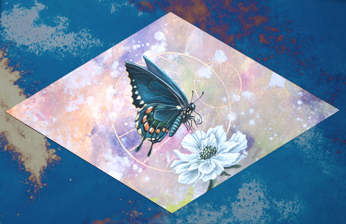 Spicebush swallowtail on scabious with pink/purple/yellow hand dyed diamond backdrop set on blue mirrored glass that reflects the original glass on artwork. 12x8