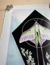 Load image into Gallery viewer, Top left view of print. Full view - print on paper of Chinese moon moth and meadowsweet on black background, diamond shape. This sits in a white iridized glass background. There is a gold circle around the center of the moon moth. Meadowsweet flower painted below and surrounding moths lower wing tendrils.
