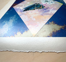 Load image into Gallery viewer, Photo shows decked edge border - Spicebush swallowtail on scabious with pink/purple/yellow hand dyed diamond backdrop set on blue mirrored glass that reflects the original glass on artwork. 12x8" reproduction giclée print of Spicebush Swallowtail + Scabiosa with a 1.25" deckled edge border