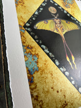 Load image into Gallery viewer, Close up to show metallic shine and decked edge border - 8x12" reproduction giclée print of Comet Moth + Gypsophila with a 1.25" deckled edge border