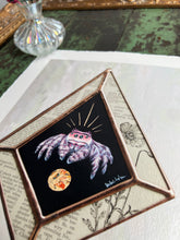 Load image into Gallery viewer, Angled photo to show metallic shine - Pink jumping spider on black background (diamond shape), with border of piece vintage book inclusions showing words and poppy illustration. On light white/grey iridescent background. 8x10" reproduction giclée print of Jumping Spider + Vintage Poppy floral encyclopedia pages, with a 1.25" deckled edge border.