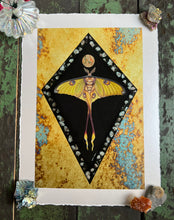 Load image into Gallery viewer, 8x12" reproduction giclée print of Comet Moth + Gypsophila with a 1.25" deckled edge border - full view