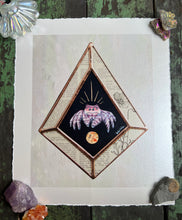Load image into Gallery viewer, Pink jumping spider on black background (diamond shape), with border of piece vintage book inclusions showing words and poppy illustration. On light white/grey iridescent background. 8x10" reproduction giclée print of Jumping Spider + Vintage Poppy floral encyclopedia pages, with a 1.25" deckled edge border.