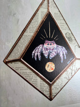 Load image into Gallery viewer, Close up - Pink jumping spider on black background (diamond shape), with border of piece vintage book inclusions showing words and poppy illustration. On light white/grey iridescent background. 8x10" reproduction giclée print of Jumping Spider + Vintage Poppy floral encyclopedia pages, with a 1.25" deckled edge border.